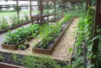 Paturi pentru gradina (37 poze) grădină frumoasă la modul de a face cutii în mâinile lor, este mai bine pentru a aranja