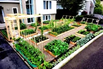 Paturi pentru gradina (37 poze) grădină frumoasă la modul de a face cutii în mâinile lor, este mai bine pentru a aranja