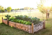 Paturi pentru gradina (37 poze) grădină frumoasă la modul de a face cutii în mâinile lor, este mai bine pentru a aranja