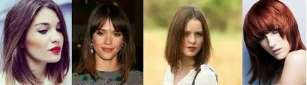 bob ce este și opțiuni gradat