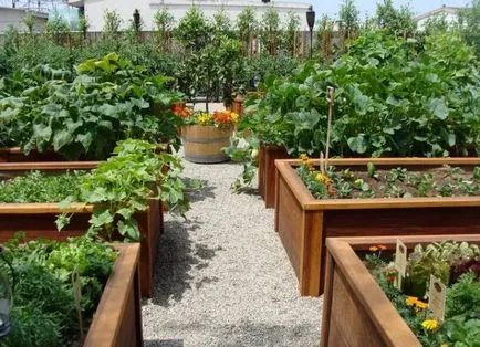 Paturi pentru gradina (37 poze) grădină frumoasă la modul de a face cutii în mâinile lor, este mai bine pentru a aranja