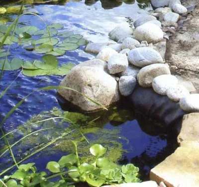 lac artificial în țară cu propriile mâini