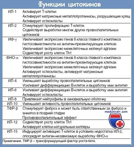 Interleukine - tipuri, funcții