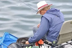 Ce se întâmplă dacă nu există nici un pește „(pește) Ce se întâmplă dacă nu există nici o musca