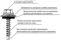 Care șuruburi sunt necesare pentru profilul și modul în care acestea înșurubată (șuruburi cu șurub de metal are nevoie de profil) Care șuruburi sunt necesare pentru profilul și modul în care acestea înșurubate