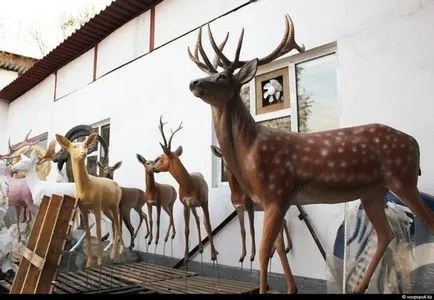 Cum de a face animale impaiate (52 poze) (ascunde) Cum de a face animale impaiate (52 poze)