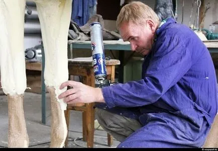 Cum de a face animale impaiate (52 poze) (piei) Cum de a face animale impaiate (52 poze)