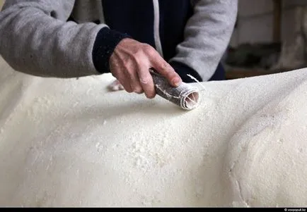 Cum sa faci umplute cum se face (KazWolf studio de arta) Cum de a face animale impaiate, așa cum se face