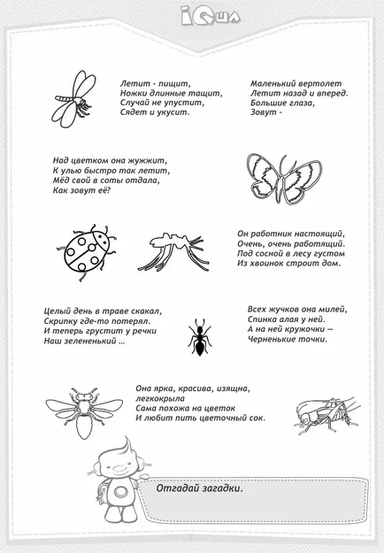 Ce tipuri de insecte