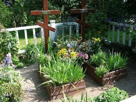 Ce fel de flori la plante într-un cimitir, descrierea și fotografiile lor (unele flori) Ce fel de flori la plante într-un cimitir, descrierea și fotografia lor
