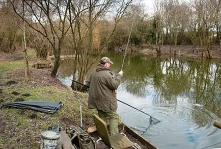 Prinderea ghid complet Roach pentru pescari - un ghid complet de la A la Z