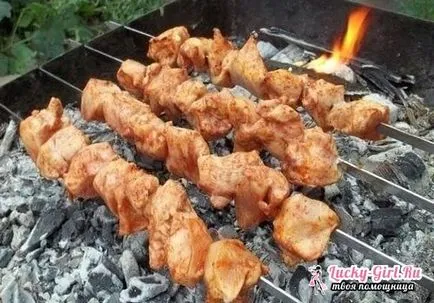 Cum la marinat retetele kebab de pui (pui) Cum la marinat rețetele kebab de pui