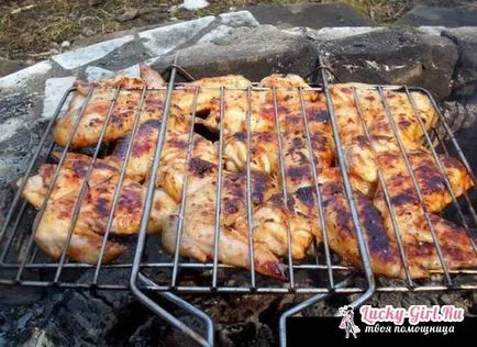 Cum la marinat retetele kebab de pui (pui) Cum la marinat rețetele kebab de pui