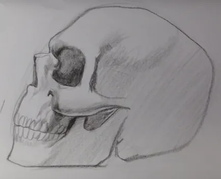Cum să atragă un craniu