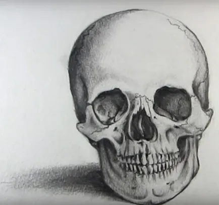 Cum să atragă un craniu