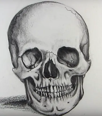 Cum să atragă un craniu