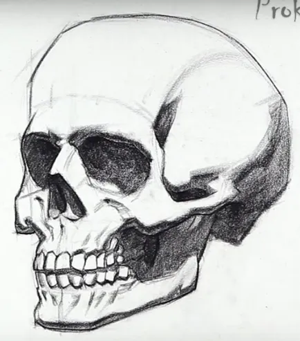Cum să atragă un craniu