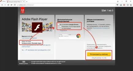 Cum de a actualiza Flash Player în browser-ul Opera descrierea metodelor