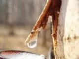 Cum pentru a ușura sucul de mere, martcom - sucuri concentrate, piureuri de fructe și legume pe cel mai mult