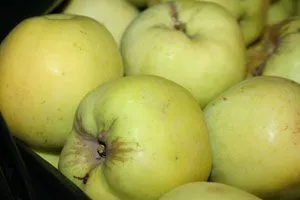 Cum pentru a ușura sucul de mere, martcom - sucuri concentrate, piureuri de fructe și legume pe cel mai mult