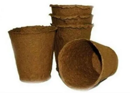 Cum să transplant de răsaduri din vase de turbă în sol