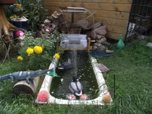 Cum să bată iaz băilor vechi, pentru