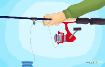 Cum de a prinde somon