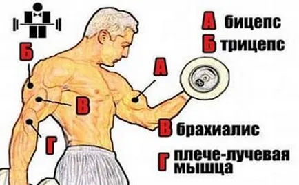 Cum să se agită mâinile pe bar sau mreana și dumbbell