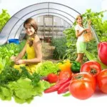 Cum este procedura de fuziune care decide asupra fuziunii, și taxele de afaceri