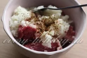 Cum de a găti carnea de porc într-o tigaie suculent si gustos