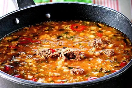 Cum de a găti supă grub la domiciliu (cum să gătească kharcho supa acasă reteta cuptor cu carne de porc multivarka de vită pui de miel) Cum de a găti supă grub la domiciliu