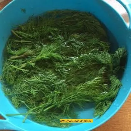 Cum se murarea mărar proaspăt în oală pentru iarna o casa gustos (mărar) Cum se murarea mărar proaspăt în oală pentru casa delicioase de iarnă