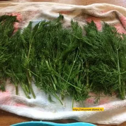 Cum se murarea mărar proaspăt în oală pentru iarna o casa gustos (mărar) Cum se murarea mărar proaspăt în oală pentru casa delicioase de iarnă