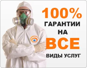 Cum se multiplica ca gândacii populația în creștere rapidă (populație) Cum se multiplica ca gândacii în creștere rapidă a populației