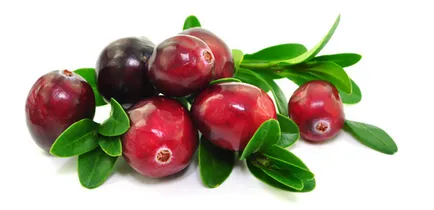 În ceea ce reduce temperatura remedii populare recomandare cu privire la modul de a aduce temperatura în jos, fără medicamente (droguri) Cum de a reduce temperatura de recomandări remedii populare, pentru a reduce temperatura fără medicamente