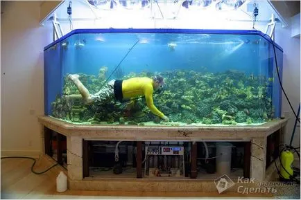 Cum sa faci un acvariu cu propriile lor mâini - producție independentă (Aquarium) Cum sa faci un acvariu cu propriile lor mâini - producție independentă