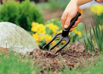 Cum de a sparge un pat de flori în fața casei sfaturi pe design cu fotografii