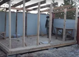 Cum sa faci o incintă pentru câini (câini do Aviary) Cum sa faci o incintă pentru câini