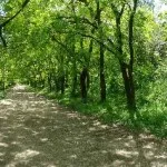 Cum să șanț inima pentru o zi