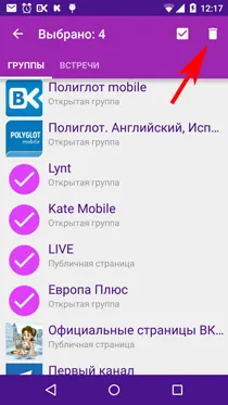 Cum de a elimina grupul VKontakte - mobil Poliglot (VKontakte) Cum pentru a elimina grupul VKontakte - Poliglot mobile