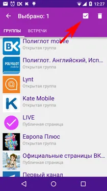 Cum de a elimina grupul VKontakte - mobil Poliglot (Poliglot) Cum pentru a elimina grupul VKontakte - Poliglot mobile
