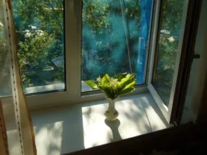Cum de a elimina mirosul de ardere în apartament 13 moduri (de ardere) Cum de a elimina mirosul de ars în apartament de 13 moduri
