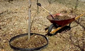 Cum de a îmbunătăți structura solului