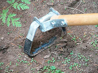 Cum de a distruge buruienile din grădină fără multă dificultate (buruieni) Cum de a distruge buruienile din grădină cu ușurință