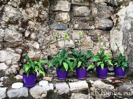 Cum de a decora grădina cu propriile mâini 25 de fotografii, cele mai bune decoratiuni pentru gradina (sale) Cum de a decora grădina cu propriile mâini 25 de fotografii, cele mai bune decoratiuni pentru gradina