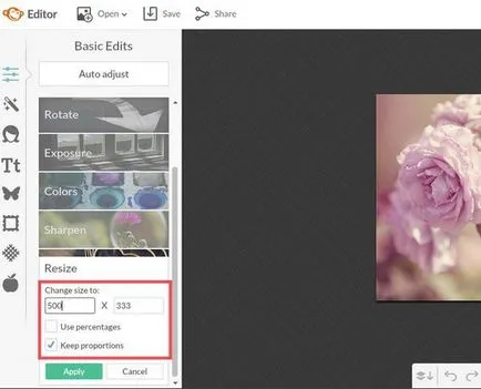 Cum de a reduce dimensiunea fișierului jpg în Photoshop ca vopsea și schimba cantitatea de imagine online