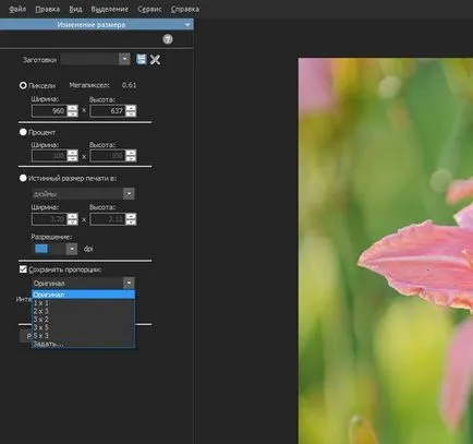 Cum de a reduce dimensiunea fișierului jpg în Photoshop ca vopsea și schimba cantitatea de imagine online