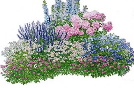 Cum să crească o Delphinium din semințe, casă frumoasă și grădină (să crească) Cum să crească o Delphinium din semințe, casă frumoasă și grădină
