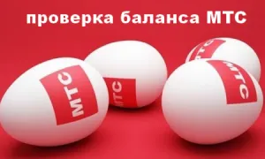 Cum de a comanda - prin telefon sau online prin Internet