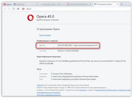Cum se activează Flash Player în Opera